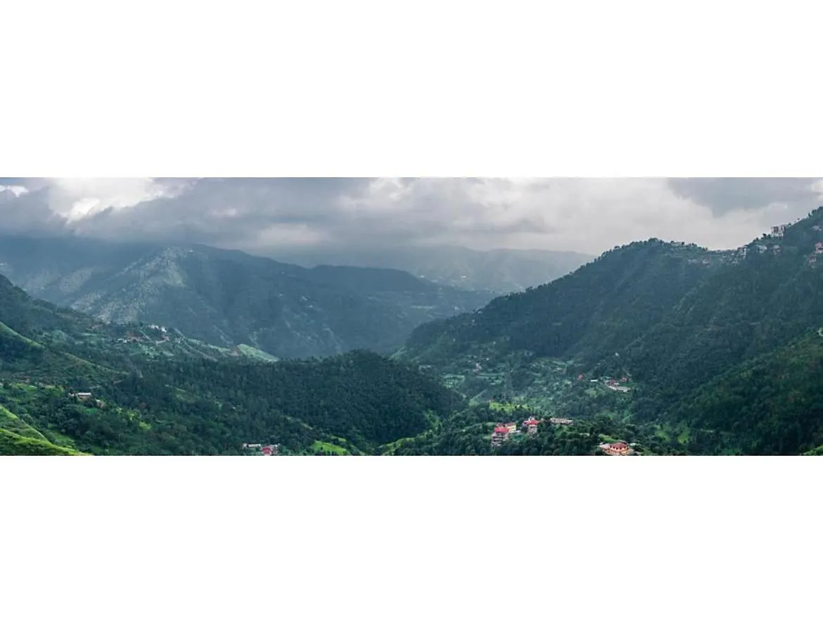 Hotel Hills View Paradise ,Shimla